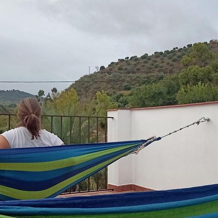 Apartamento Casa Con Vistas Al Campo Y Cocina Con Terraza Villanueva de San Juan 외부 사진
